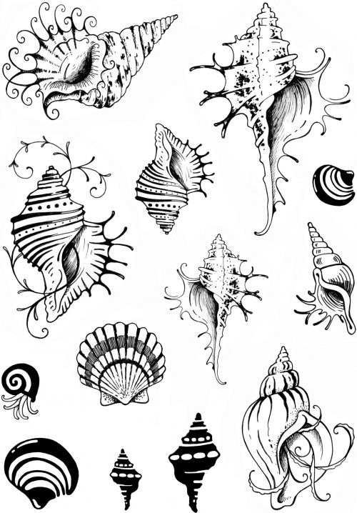 pink ink designs a5 stamp shells